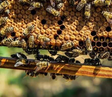 אז לאן יוצאים היום? צילום: pixabay